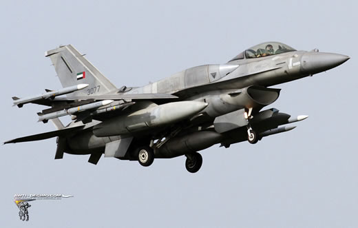 UAE F-16 Block 60 'Desert Eagle'