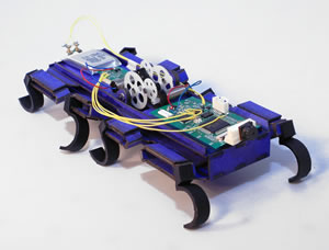One of the experimental micro-bots evaluated by the MAST group is this OctoRoach. 