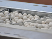 Soft Armor container holding  ceramic pellets to form a ballistic protection barrier. Photo: Protaurius