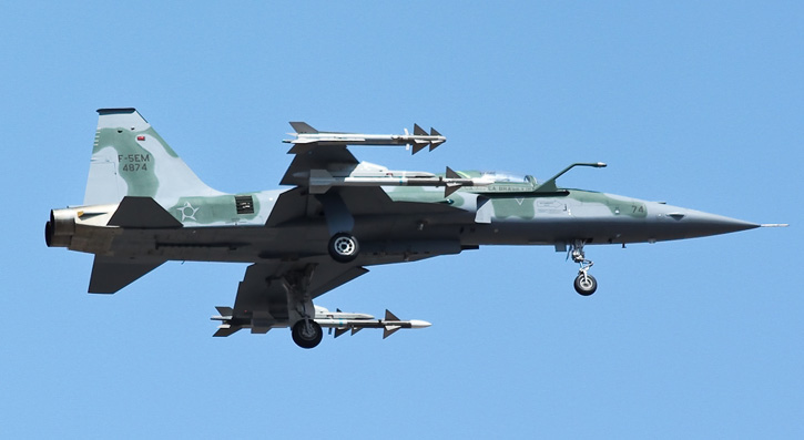 This configuration shows the F-5EM armed with Python IV and Derby missiles.