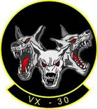 VX-30 unit emblem