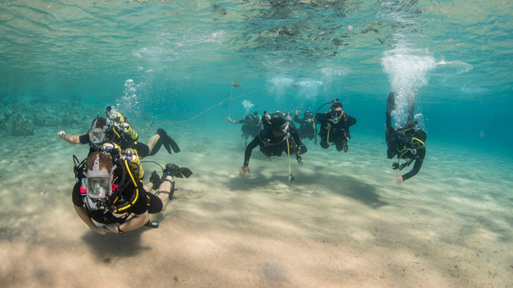 Clearance divers from Fleet Diving Unit 3, assigned to Task Group 523.3, and divers from the Royal Naval Force of Jordan, conduct a search dive while participating in International Mine Countermeasures Exercise (IMCMEX). IMCMEX includes navies from 44 countries whose focus is to promote regional security through mine countermeasure operations in the U.S. 5th Fleet area of responsibility. (U.S. Navy photo by Daniel Rolston)