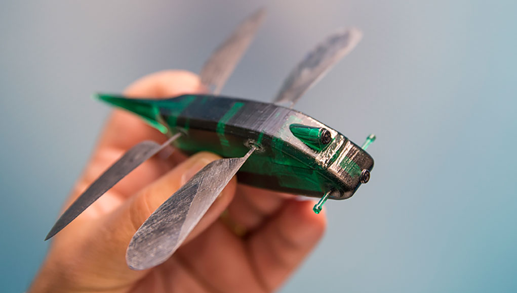 Skeeter, a dragonfly-inspired nano-bot is, developed by Oxford based Animal Dynamics to enable autonomous missions that deliver intelligence through the deployment of nano-scale aerial sensor that can hover, autonomously navigate in confined spaces, perch and stare. Photo: UK MOD, Crown Copyright