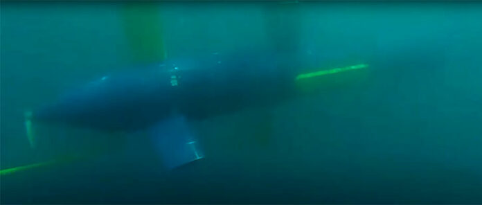 IAI Introduces: BLUE WHALE Large AUV - Defense Update: